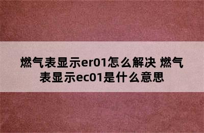 燃气表显示er01怎么解决 燃气表显示ec01是什么意思